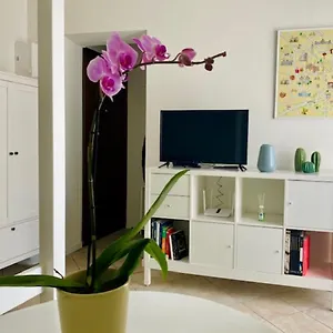 Cozy Gambara - Sansiro , Milán Italia